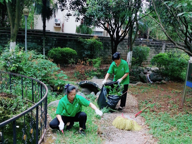 信泰物業(yè)強化衛(wèi)生整治，全面做好創(chuàng)衛(wèi)驗收復查