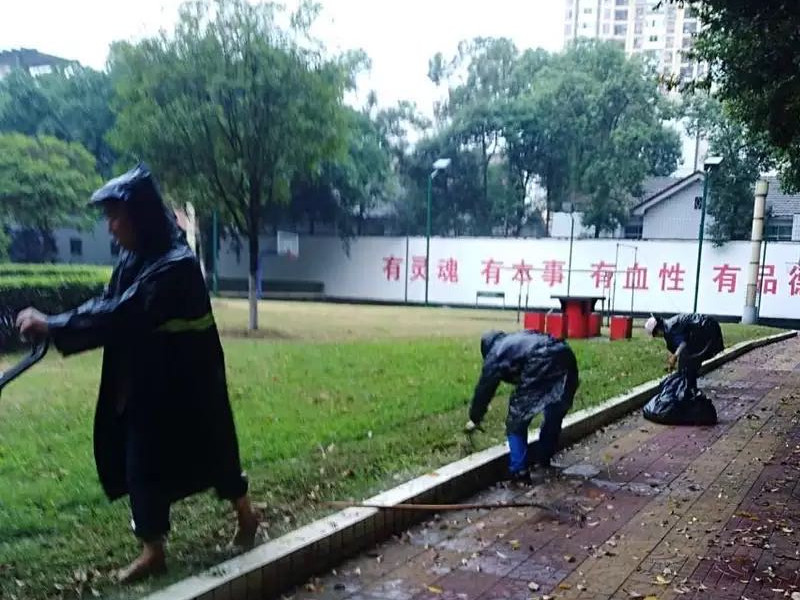 無懼風雨，信泰為您守護