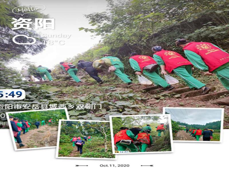 信泰志愿服務隊，有你們在，他們不孤單！